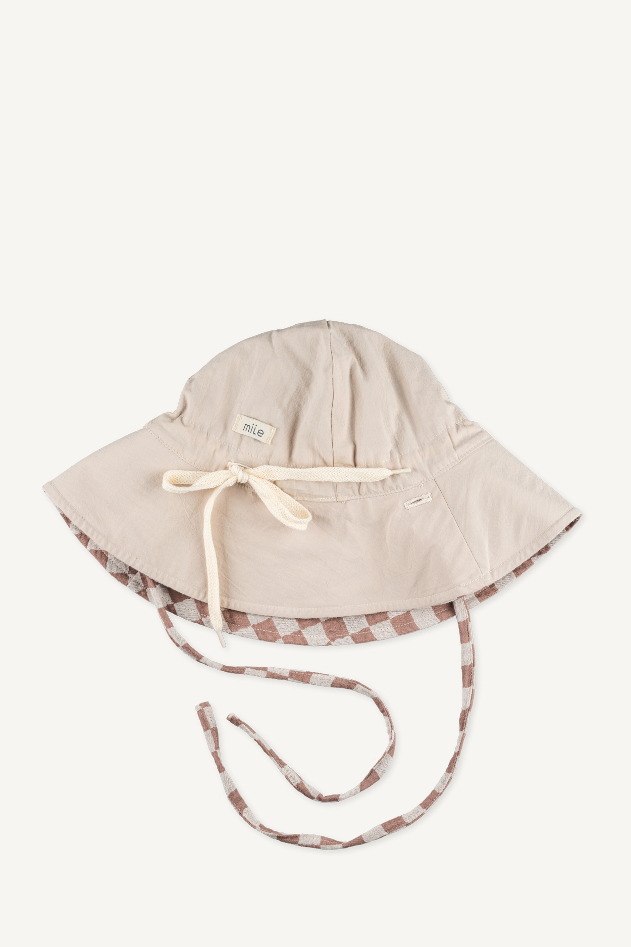 seashell